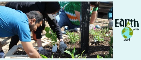 Earth Week 2023, a person working in the garden