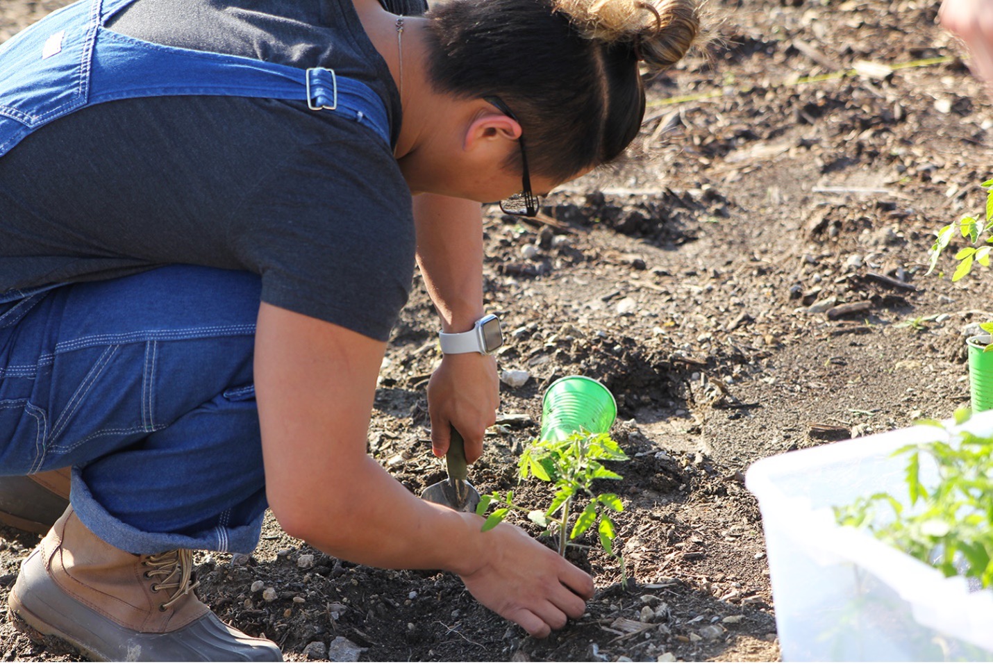 A student planting vegetables.