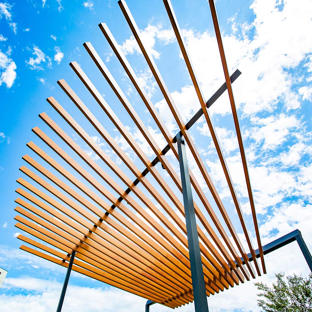 Trellis near the Sciences Building