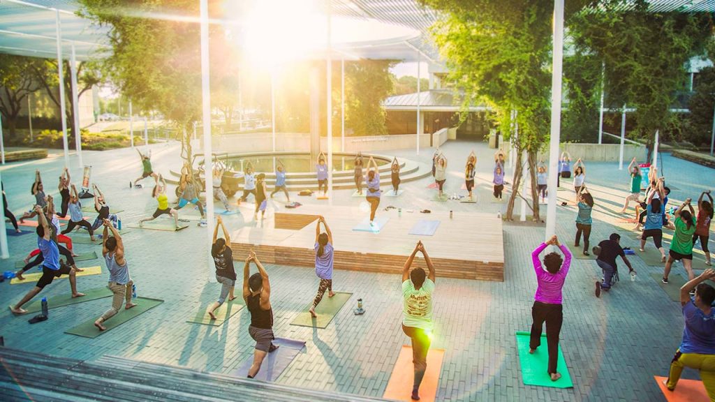 Sunrise yoga at the plinth - dozens of people on their mats under the Margaret McDermott Trellis as the sun rises. 